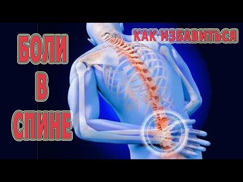 Болит справа сзади спины как бы может Изнашиваются ли коленного сустава