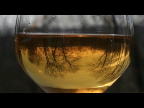 Kings of mead odc.39 - Final konkursu Youtube na miody pitne domowe