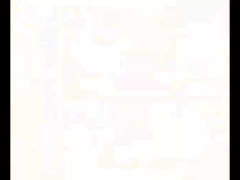 PADDYSCO SPORTS FC DEFENSIVE MIDFIELDER