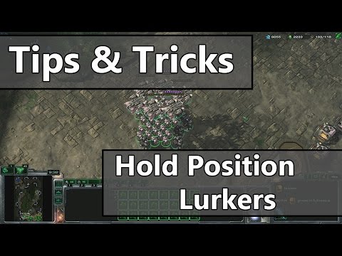 How To Hold Position Lurkers