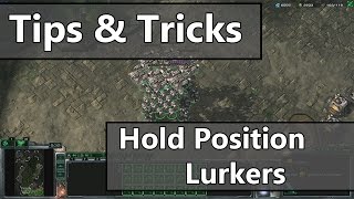 How To Hold Position Lurkers