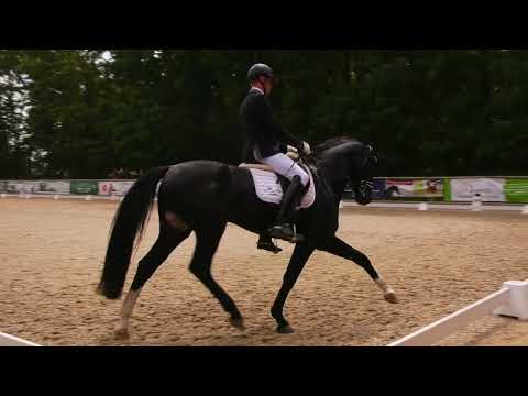 Fidano qualifiziert sich zum Bundeschampionat