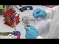 Bacteriophages Professor Martha Clokie