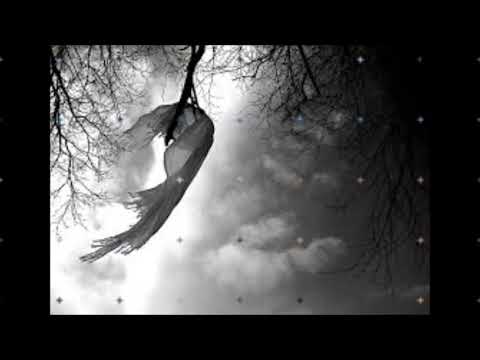 İSTEMEDEN OLDU KLASS