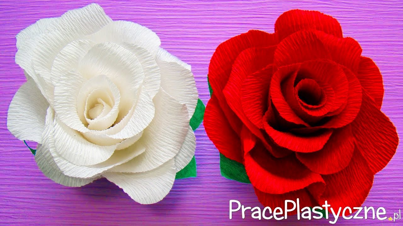 Róża z krepiny