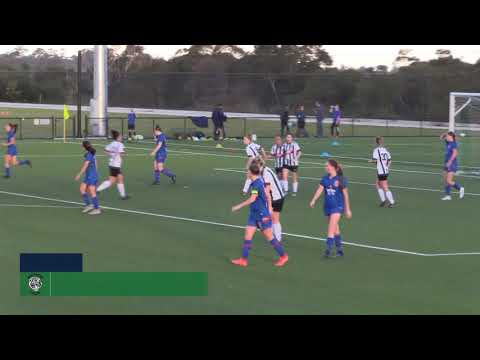 Round 18 NPL NSW Women's Highlights - Northern Tigers FC v Emerging Jets FC