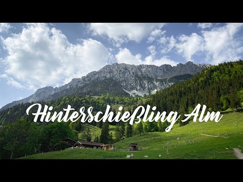Hinterschießling Alm - Scheffau am Wilden Kaiser