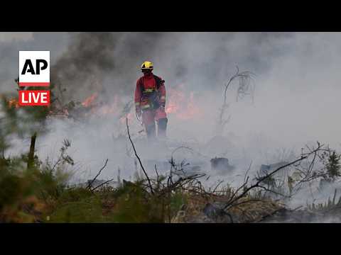 LIVE: Firefighters battle wildfires in France