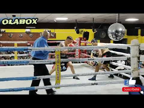 Boxeo Profesional // Olavarría // Gonzalo Andreasen Vs Cesar Velez.