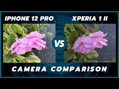 iPhone 12 Pro vs Sony Xperia 1 ii Camera Comparison
