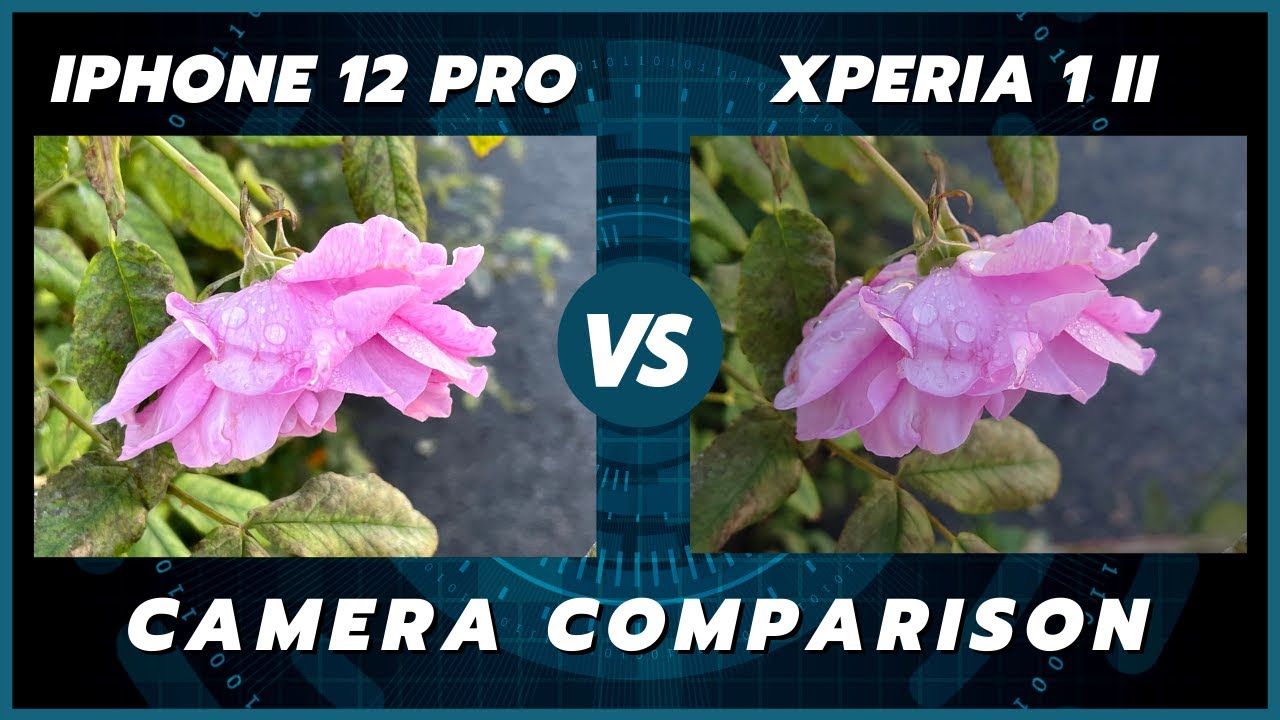 iPhone 12 Pro vs Sony Xperia 1 ii Camera Comparison