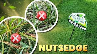 Testing 2 Products Against NIGHTMARE Weed