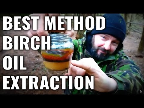 How To Make Birch Oil From Birch Bark
