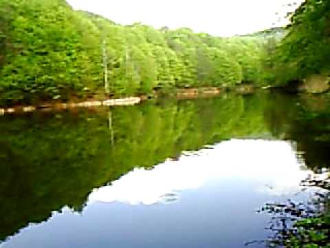 Dognecea Lacul Mic (cu nuferi).AVI