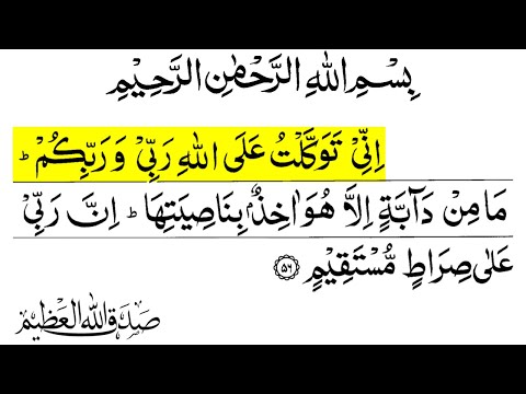surah hood ayat 56 | inni tawakkaltu alallahi |surah hood ayat number 56|surat hud ayat 56|surah hud