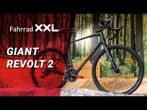 Giant Revolt 2 Aluminium – das Einsteiger-Gravel-Bike im Test
