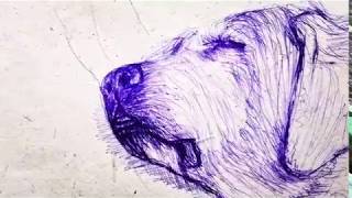 In Silence Voice Of Conscience Roars!