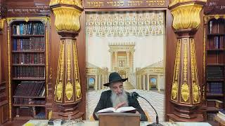 הרב מאיר דוד שמואלי - הלכות שבת סימן רנ"ה - רנ"ו