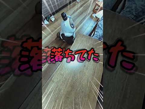 【LOVOT実話】ほんとにあった怖い話 #lovot #lovotまめりんご #shorts