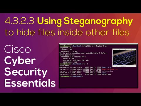 Cisco Cybersecurity Essentials 4.3.2.3 Using Steganography | Linux demonstration