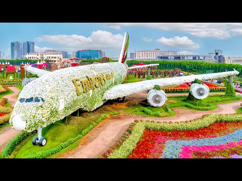 Dubai Miracle Garden 2025 | World's Largest Natural Flower Garden | 4K Trip Vlog