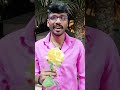 Arumbaki Mottaki Poovaki Nicesong Youtubeshorts Shortsfeed Vlog Love Oldisgold Shorts Tamil