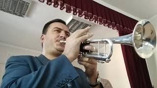 Maynard Ferguson.Maria.