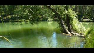 preview picture of video 'around the LAKE OF THORENC (France) - autour du LAC DE THORENC'
