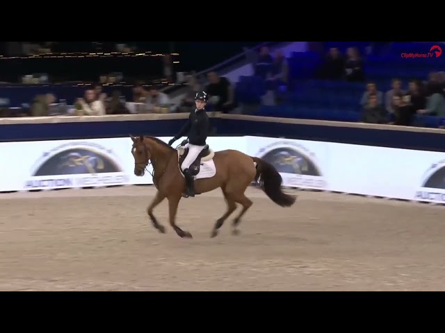 Zuly Presentation