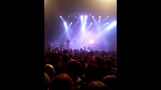 A.N.I.M.A.L - Barrio Patron - Vorterix