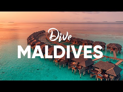 Scuba Diving in the Maldives