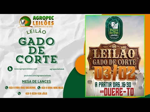 agropecleiloes.com - LEILÃO GADO DE CORTE | BERRO DO BOI LEILÕES - DUERÉ -TO 03/02/2026