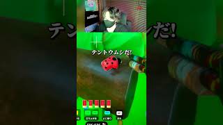 爆笑動物な隠れ方【めっちゃカメレオン】 #shorts #めっちゃカメレオン #かくれんぼ #mecchachameleon
