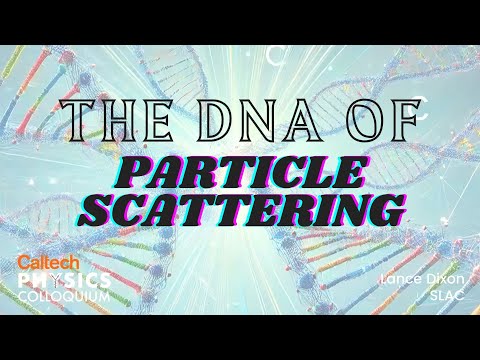 The DNA of Particle Scattering - Lance Dixon