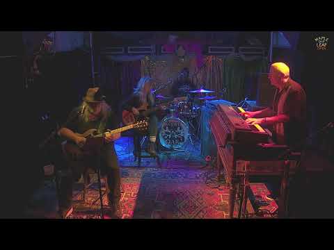 Joe Krown Trio Plus 1 Ft. Papa Mali video