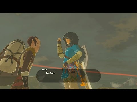 The Legend of Zelda: Breath of the Wild -  MINI-GAME: Bird-Man Research Study