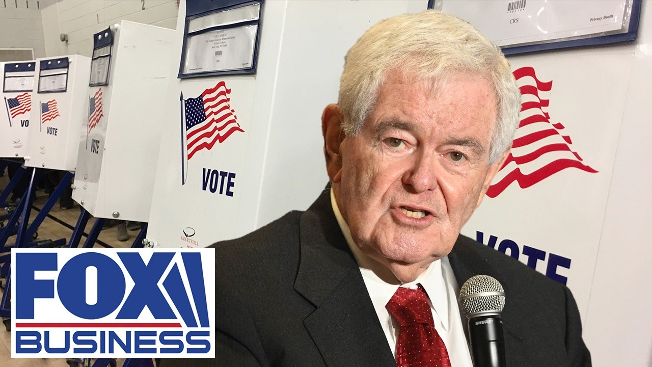 Republicans have to go out and make a straightforward case: Newt Gingrich on midterms
