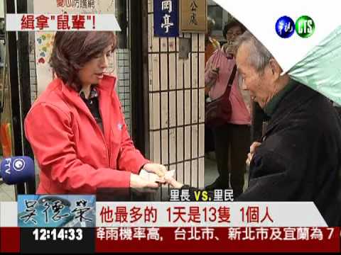 永和市場鼠輩橫行 追著小貓跑!