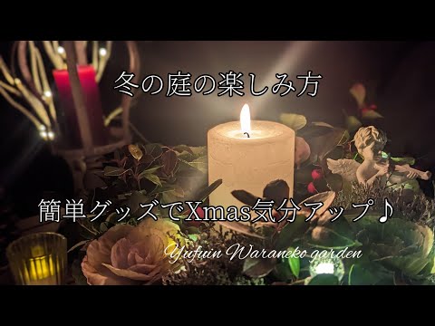 秋の花 冬 カリアンドラ