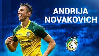 Andrija Novakovich ● Goals, Assists & Skills - 2018/2019 ● Fortuna Sittard