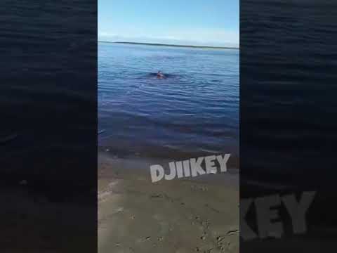 В Якутске машина съехала в воду и утонула