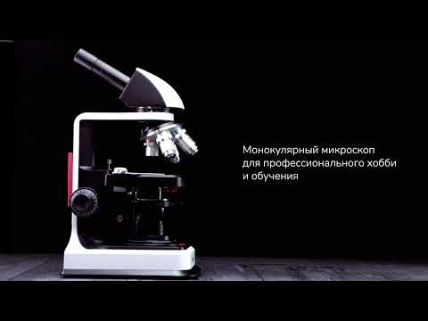Микроскоп Levenhuk 450M, монокулярный
