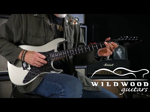 Suhr Pete Thorn Signature Standard HSS  •  SN: 77777