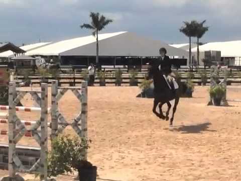 Medium Jr. Jumpers WEF Week 11