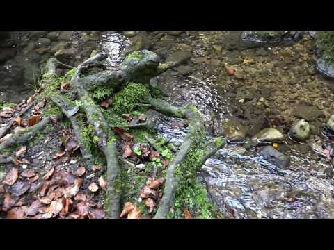 Verenaschlucht, Solothurn