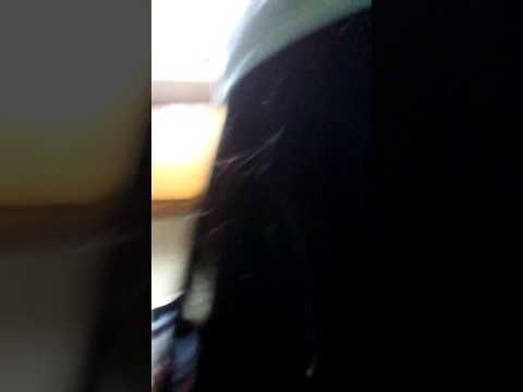 For tony free tone gotti message from houdinne himself !!