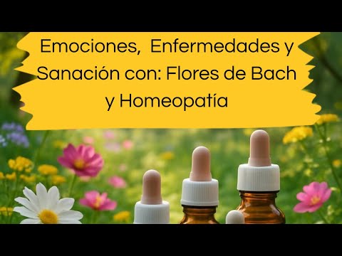 Ixchel Hernández Galán-15