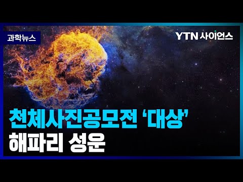 천체사진공모전 대상작 '해파리 성운