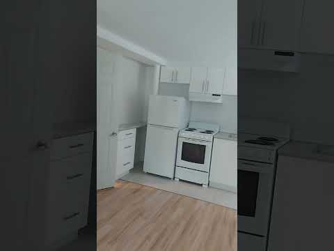 Rue Saint-Zotique East & 44e Avenue #A - Video 7 of 7