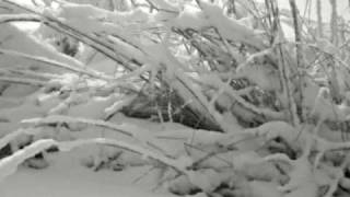 Winter Time - Steve Miller